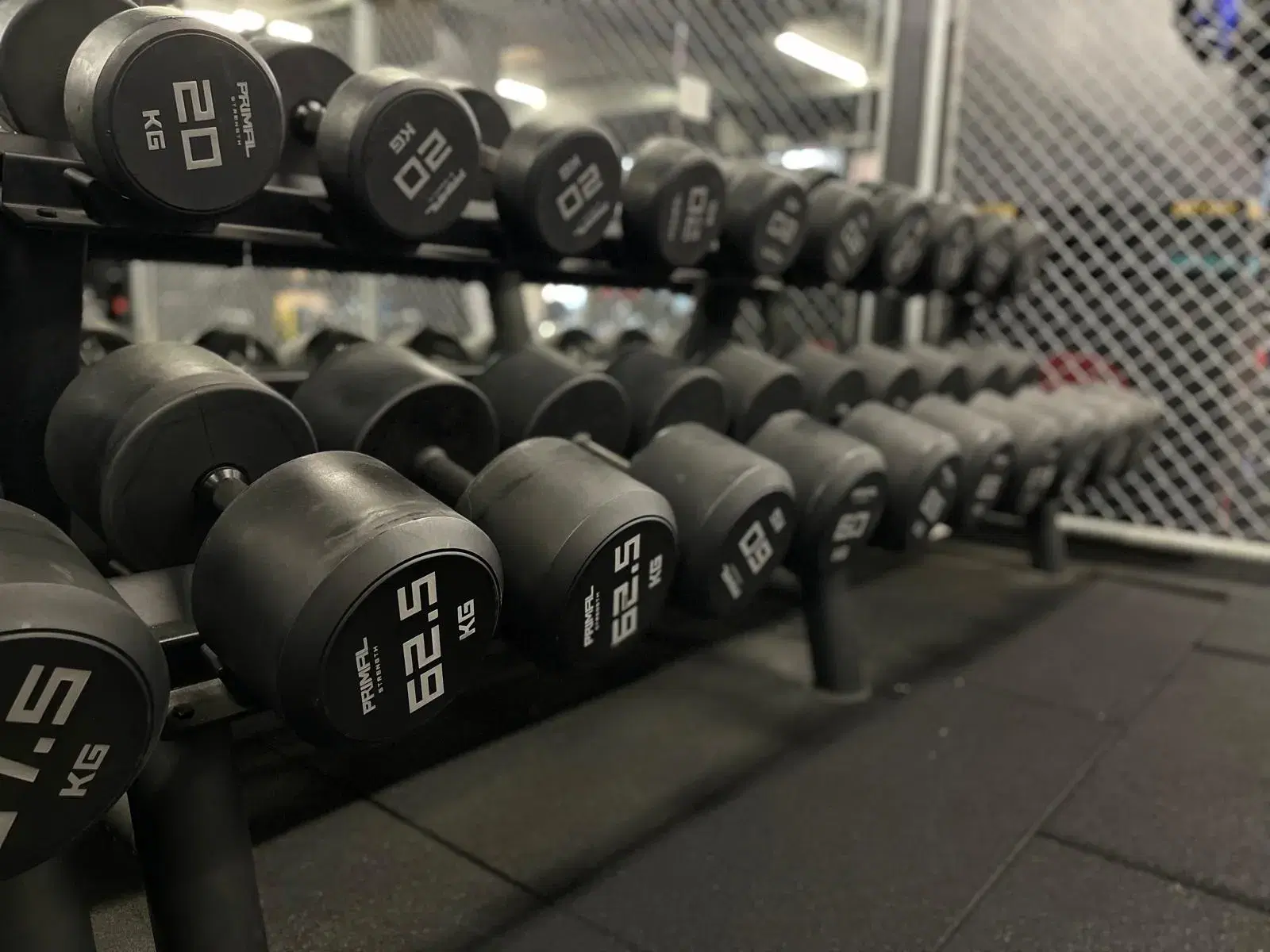 Dumbell training at Chelsea Private PT